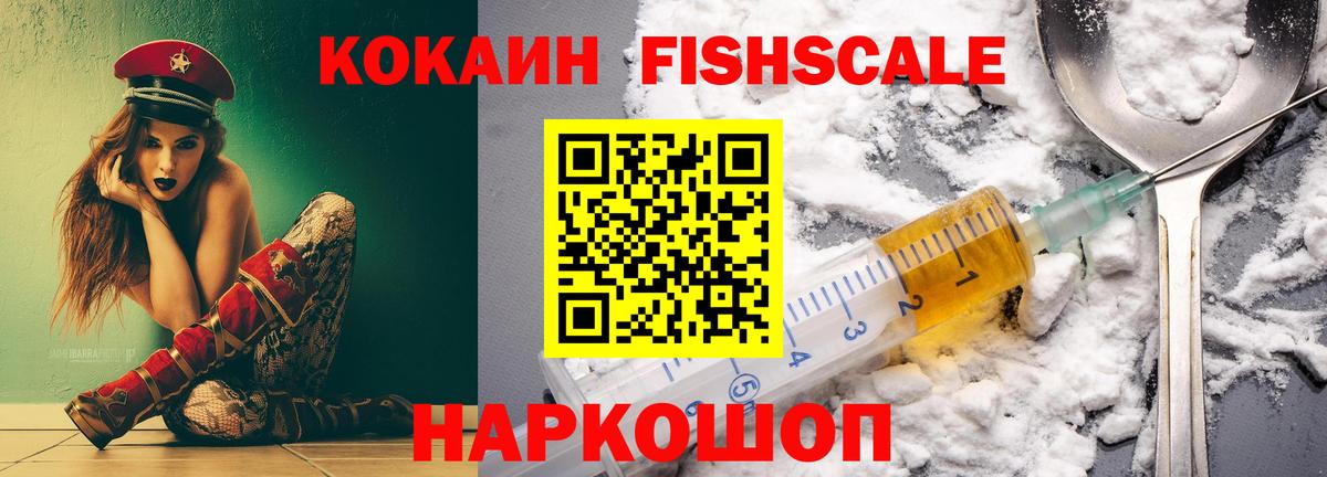  COCAIN Гатчина